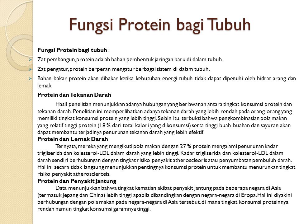 Fungsi Protein Bagi Tubuh Newstempo